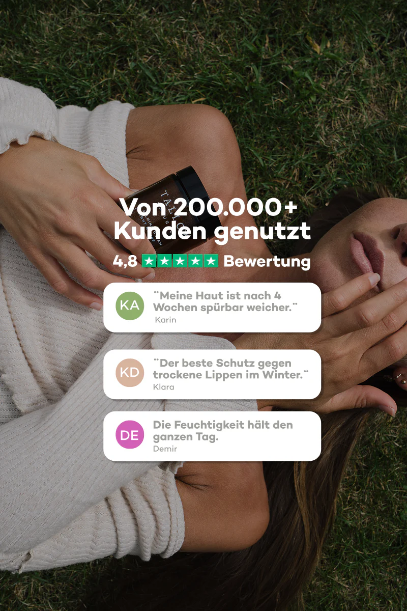 Vorschaubild 3